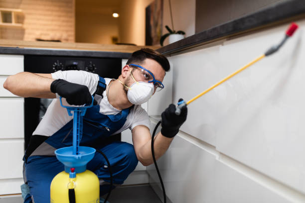 Best Affordable Exterminators  in Mission, OR