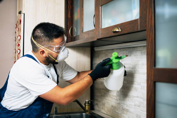 Best Bed Bug Extermination  in Mission, OR
