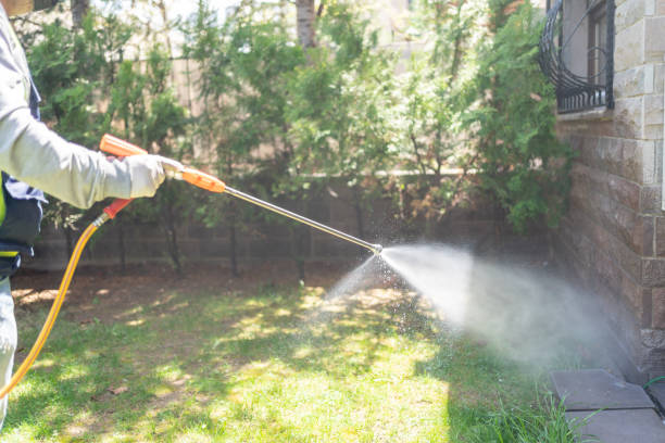 Flea Control Services in Mission, OR