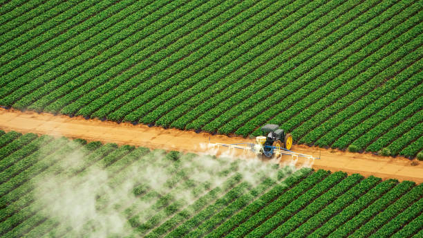 Best Commercial Pest Control Services  in Mission, OR