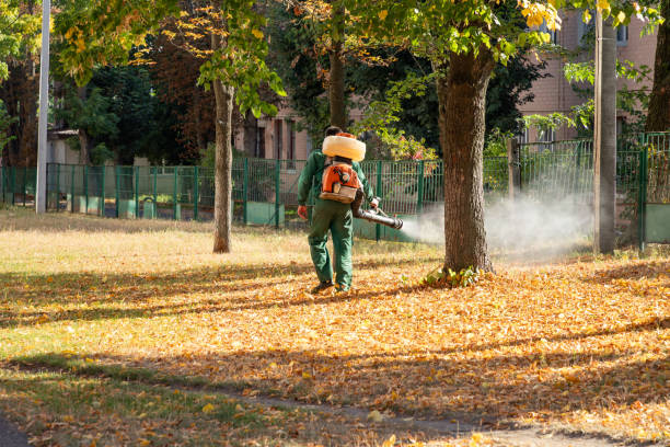 Best Insect Control  in Mission, OR