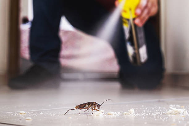 Insect Control in Mission, OR